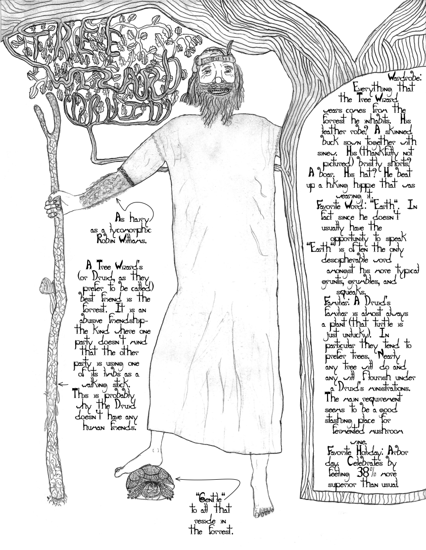 druid hugging tree standing on turtle with walking stick